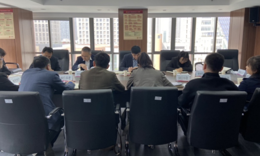 財務(wù)核算中心召開2023年外派財務(wù)負責(zé)人3月月度財務(wù)例會